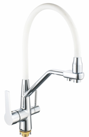 R603C